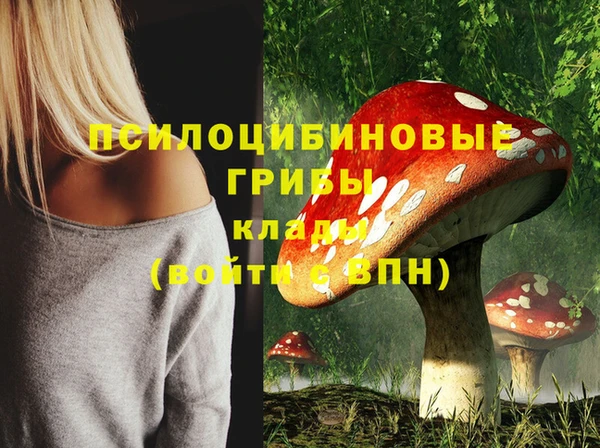 эйфоретик Киреевск
