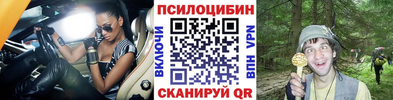 Купить где Таштагол Псилоцибиновые грибы Cubensis